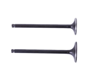 Клапаны TT AGRO MOTO на бензиновый двигатель CB-125, к-т: 2 шт., тип 2