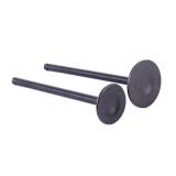 Клапаны TT AGRO MOTO на бензиновый двигатель CB-125, к-т: 2 шт., тип 2