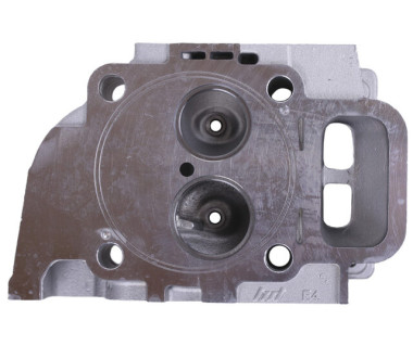 Головка блока голая - 192D YBX