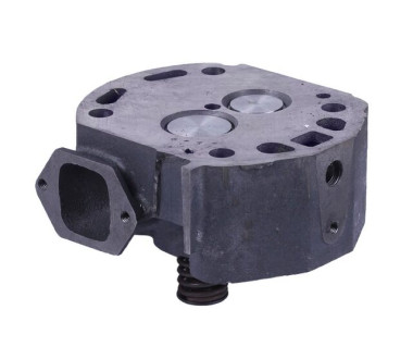 Головка циліндра в зборі (на мототрактор) – 195N YBX