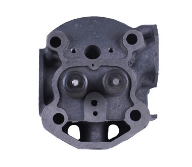 Головка циліндра в зборі (на мототрактор) – 195N YBX