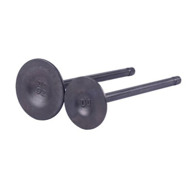 Клапана СG250