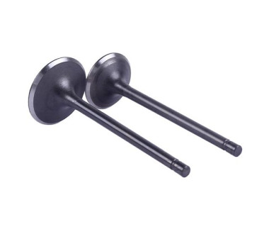 Клапана СG250