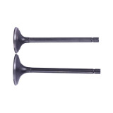 Клапана СG250