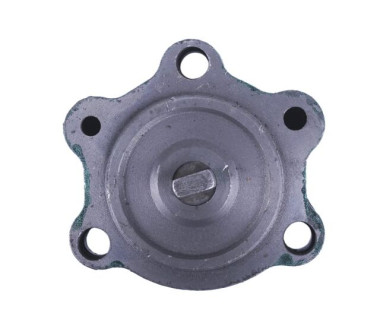 Масляний насос - ZS/ZH1100 YBX