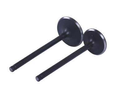 Клапани, к-т 2 шт. CB-250СС YBX