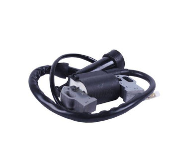 Катушка высокого напряжения + надсвечник - 188F YBX