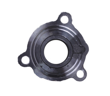 Патрон витискного важеля Shifeng 240