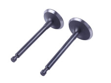 Клапани, к-т: 2 шт. - 188F - TTG