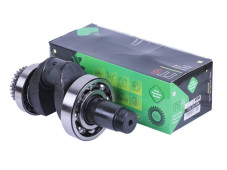 Колінвал у зборі + шестерня - ZUBR original - 195N - TTG