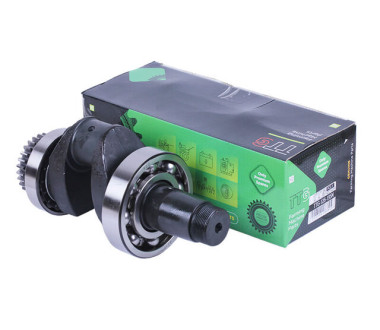 Колінвал у зборі + шестерня - ZUBR original - 195N - TTG