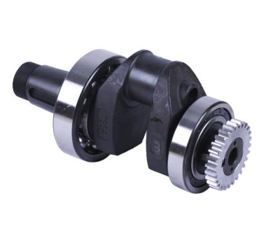 Колінвал у зборі + шестерня - ZUBR original - 195N - TTG