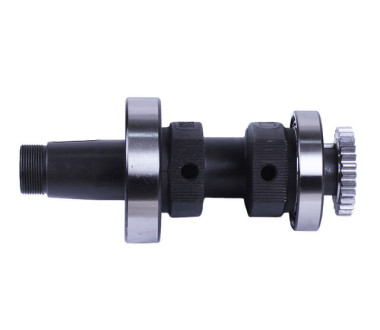 Колінвал у зборі + шестерня - ZUBR original - 195N - TTG