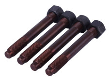 Шпильки кріплення головки + гайки ZH1115N