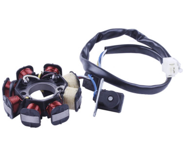 Якорь генератора (6+2) - 50CC4T