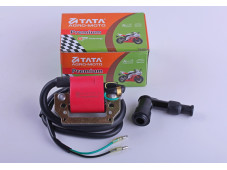 Котушка запалювання + свічник - Дельта/Альфа - Premium