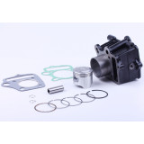 Поршнева (ЦПГ) 47 мм, к-т: 12 одиниць - 72СС - Дельта/Альфа