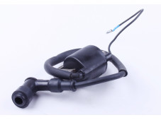 Котушка запалювання - Актив