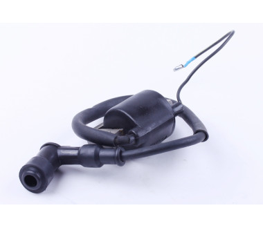 Котушка запалювання - Актив