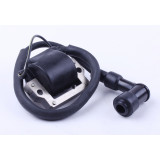 Котушка запалювання - Актив