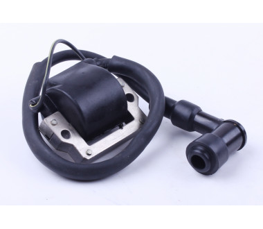 Котушка запалювання - Актив