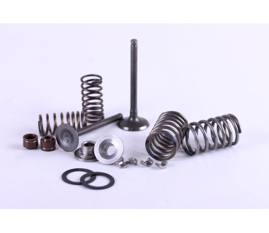 Клапани + к-т на 2 клапани - Актив/Дельта/Альфа