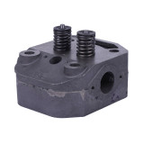 Головка циліндра у зборі ZUBR (на мототрактор під форсунку діаметр 21 мм) - 195N Y-BX