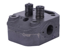 Головка циліндра у зборі ZUBR (на мототрактор під форсунку діаметр 21 мм) - 195N Y-BX