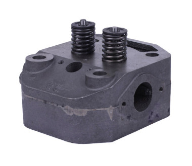 Головка циліндра у зборі ZUBR (на мототрактор під форсунку діаметр 21 мм) - 195N Y-BX