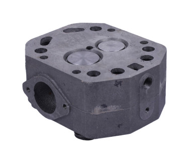 Головка циліндра у зборі ZUBR (на мототрактор під форсунку діаметр 21 мм) - 195N Y-BX