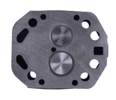 Головка циліндра у зборі ZUBR (на мототрактор під форсунку діаметр 21 мм) - 195N Y-BX