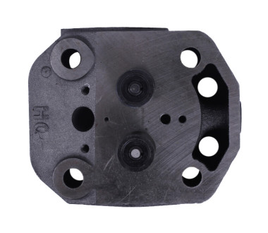 Головка циліндра у зборі ZUBR (на мототрактор під форсунку діаметр 21 мм) - 195N Y-BX