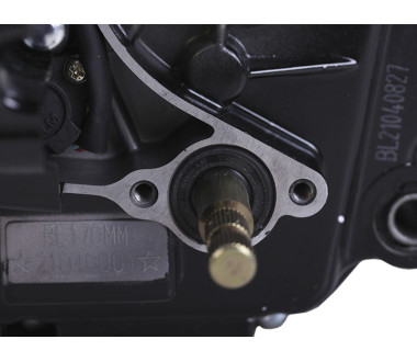 Двигатель CG300 ТАТА на мотоцикл, BL170 ММ (с водяным охлаждением, бензиновый)