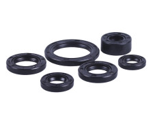 Сальники, к-т: 6 шт. - Дельта/Альфа Y-BOX