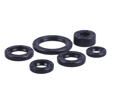 Сальники, к-т: 6 шт. - Дельта/Альфа Y-BOX