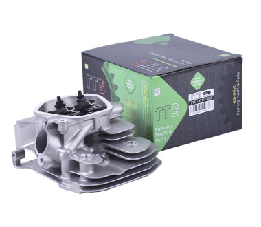 Головка блоку в зборі - 188F - TTG