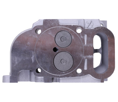 Головка блоку у зборі - 173D