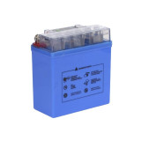 Аккумулятор гелевый TTG 12N5L-BS 5АH 119×60×129 мм синий, с индикатором, Active