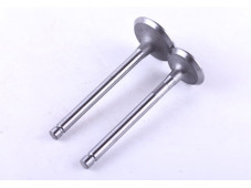 Клапани, к-т: 2 шт. - 186F - Premium