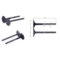 Клапана к-т. 2 шт. - 4.5KW/4.8KW