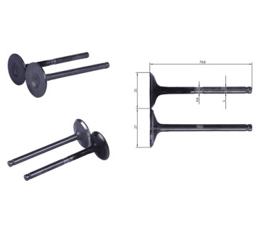 Клапана к-т. 2 шт. - 4.5KW/4.8KW