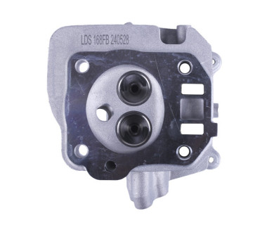 Головка блока гола - 168F YBX