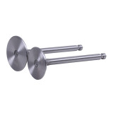 Клапани, к-т: 2 шт. - 192D YBX