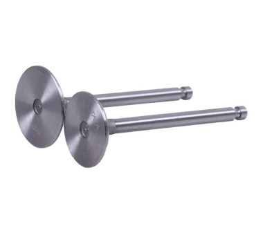 Клапани, к-т: 2 шт. - 192D YBX