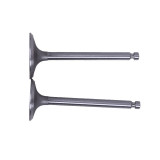 Клапани, к-т: 2 шт. - 192D YBX