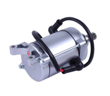 Електричний стартер (11 зубів) - ZUBR - TTG