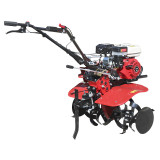 Мотоблок бензиновий TT-900-ZX TАТА (3+1, ремінь)