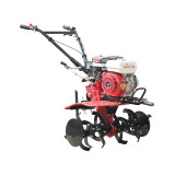 Мотоблок бензиновий TT-900-ZX TАТА (3+1, ремінь)