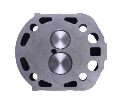 Головка циліндра в зборі (на мототрактор під форсунку діаметр 21 мм) – 192N Y-BOX