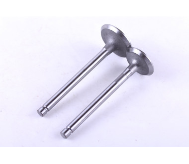 Клапани, к-т: 2 шт. - 186F - Premium